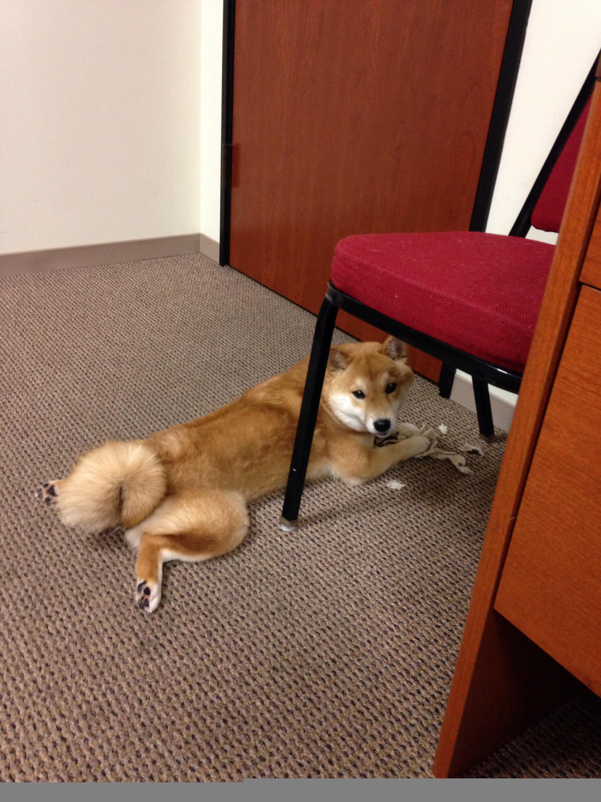 扩展思维，文章标题