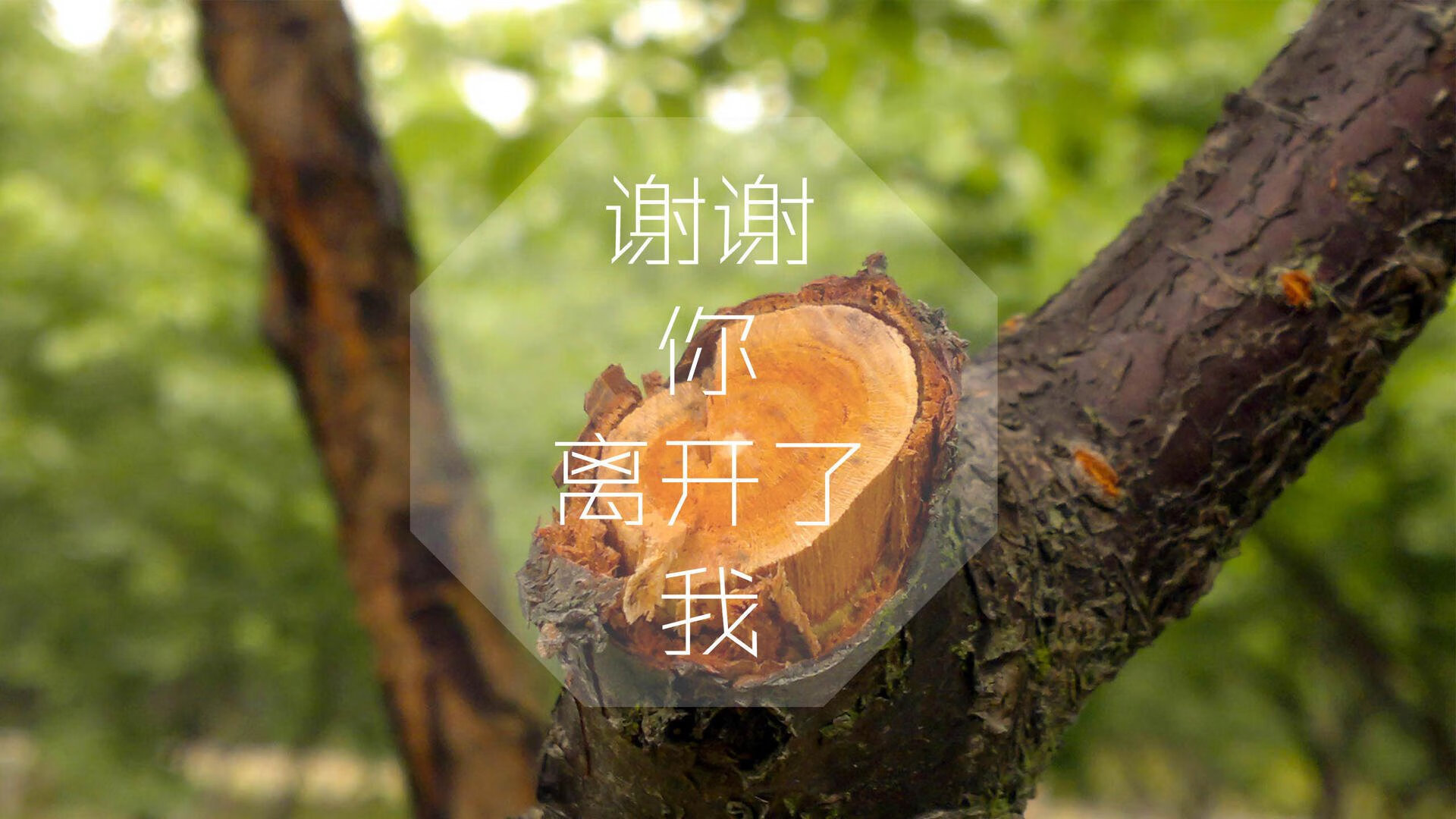 生死战拒绝奇迹！辽宁力克独行侠，影子里的杀手米切尔一球定乾坤