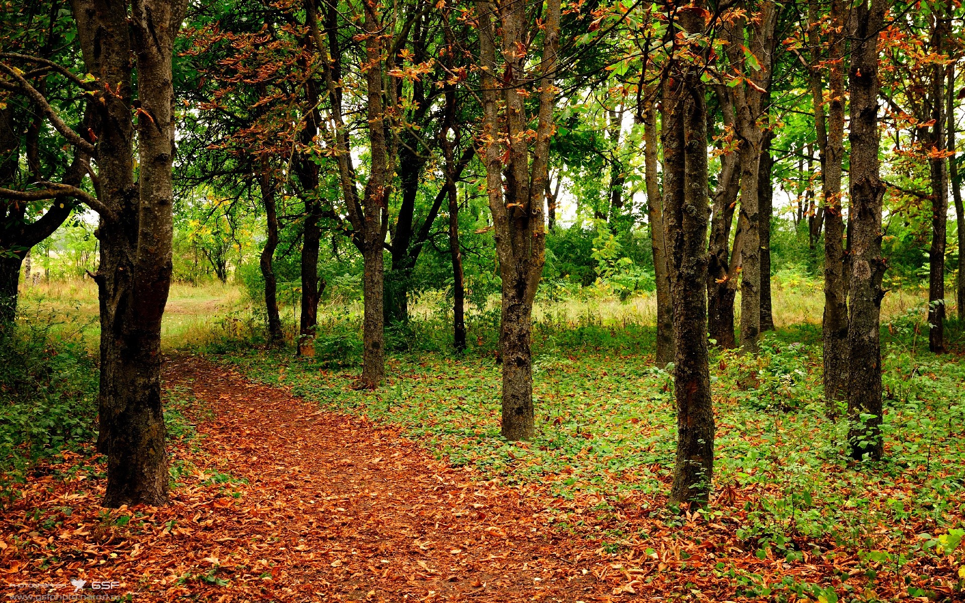 单城德甲争冠夜,劳塔罗用一己之力在另一片大陆诠释何为彻底打爆