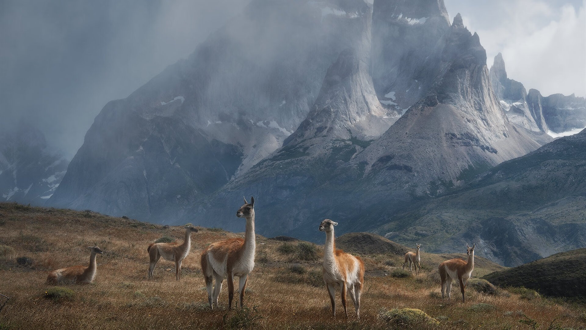双城记,东契奇的完美数据与勇士的残缺胜利