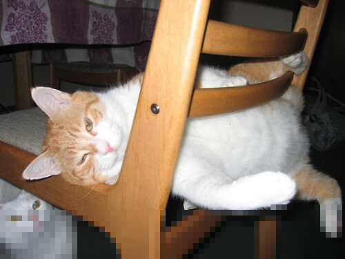 奥林匹斯众神的战争，希腊长矛在西决生死战中，冲垮比利时巨人阵