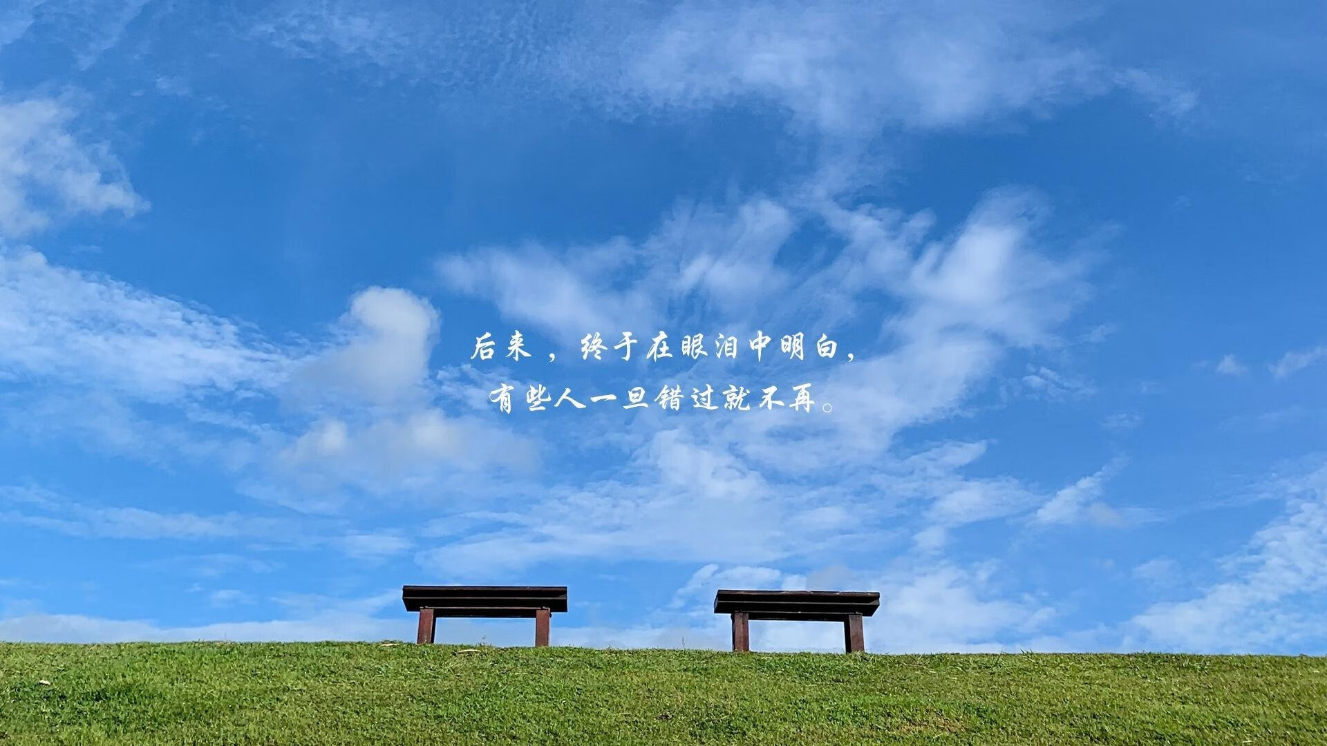 世界排名争夺战之夜，卡拉斯科一剑封喉定江山