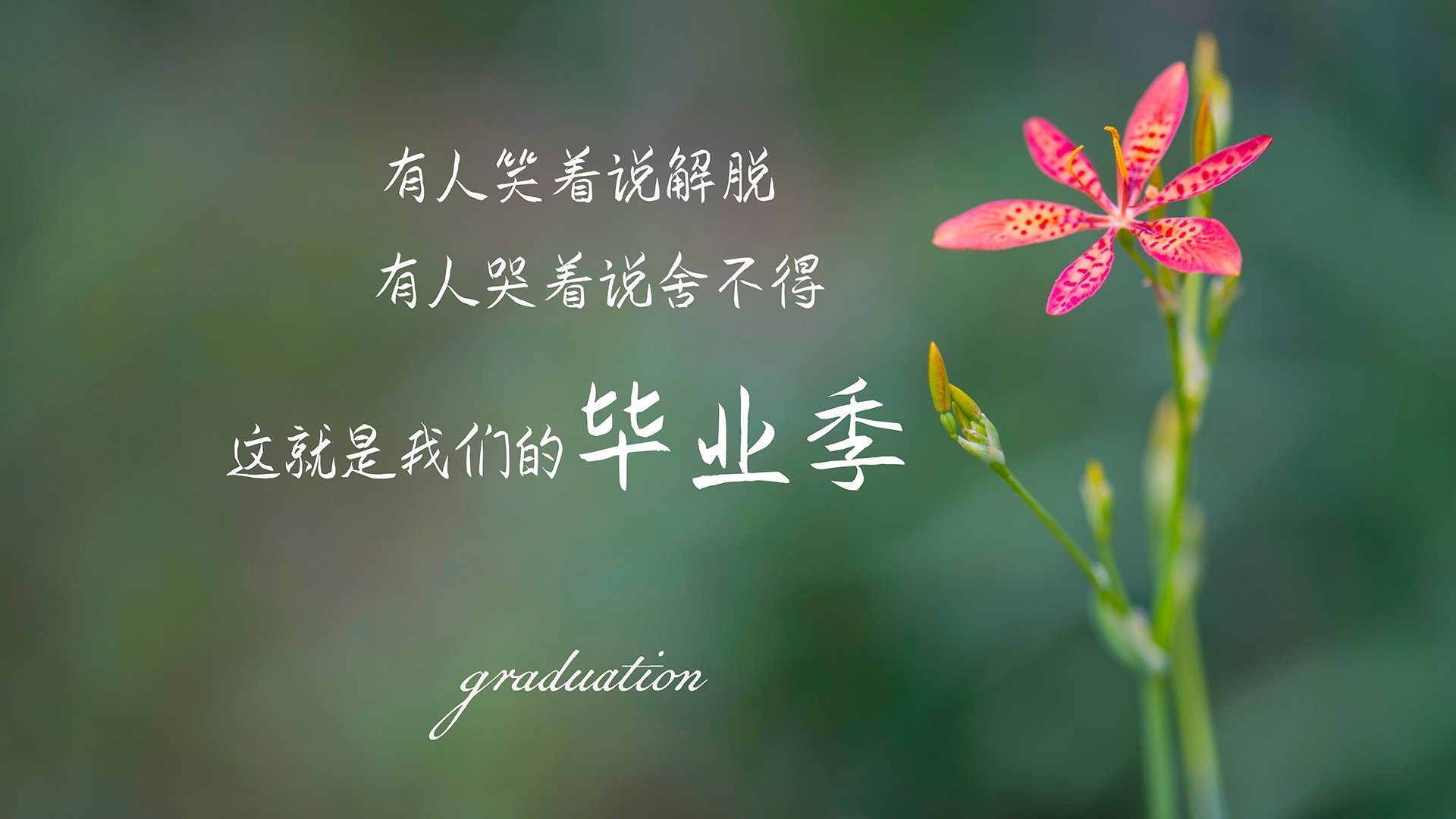 数字丛林中的孤勇，一场2016世界杯D组无法被复制的唯一战记
