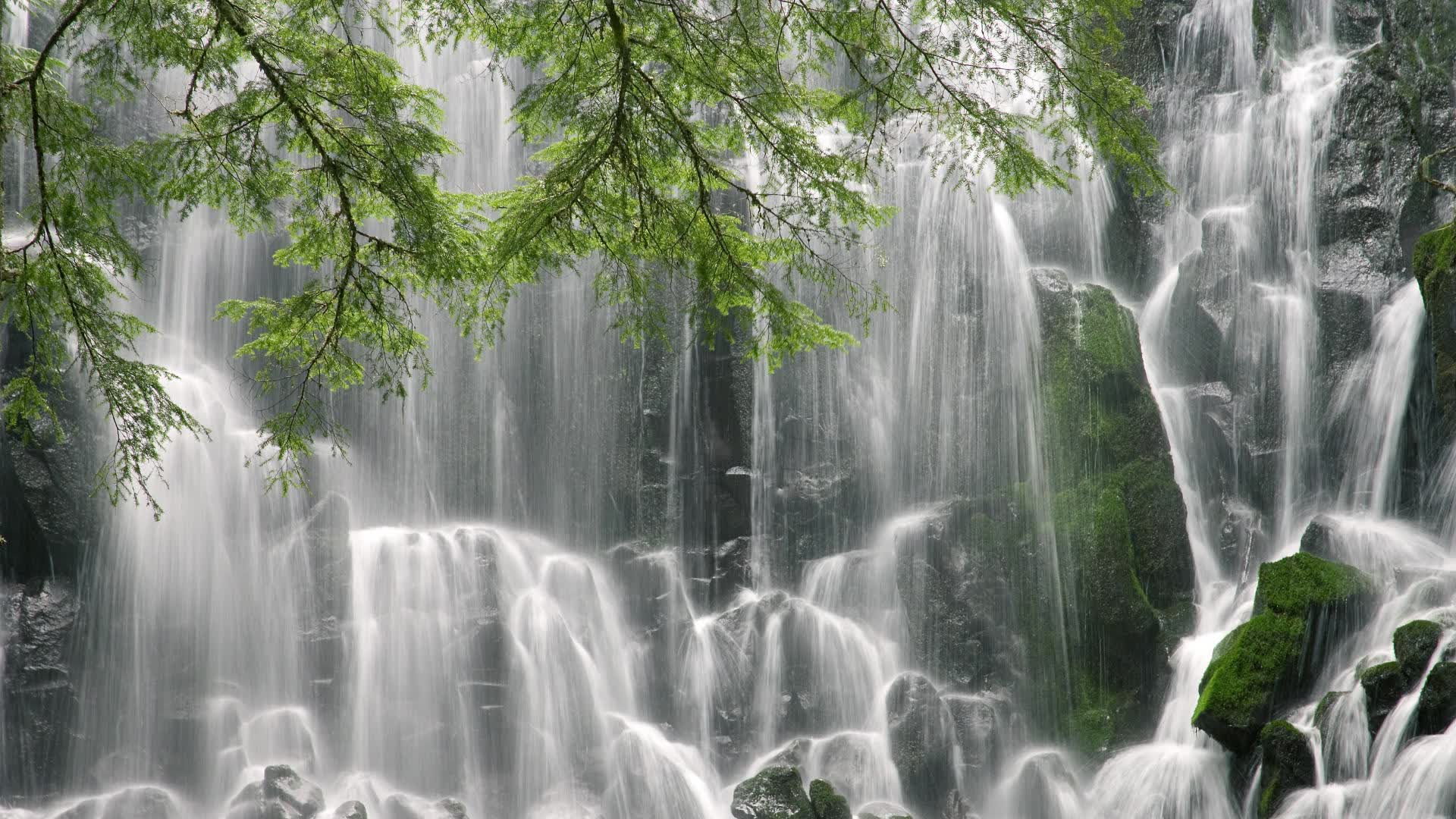 以下是为您构思的标题与文章