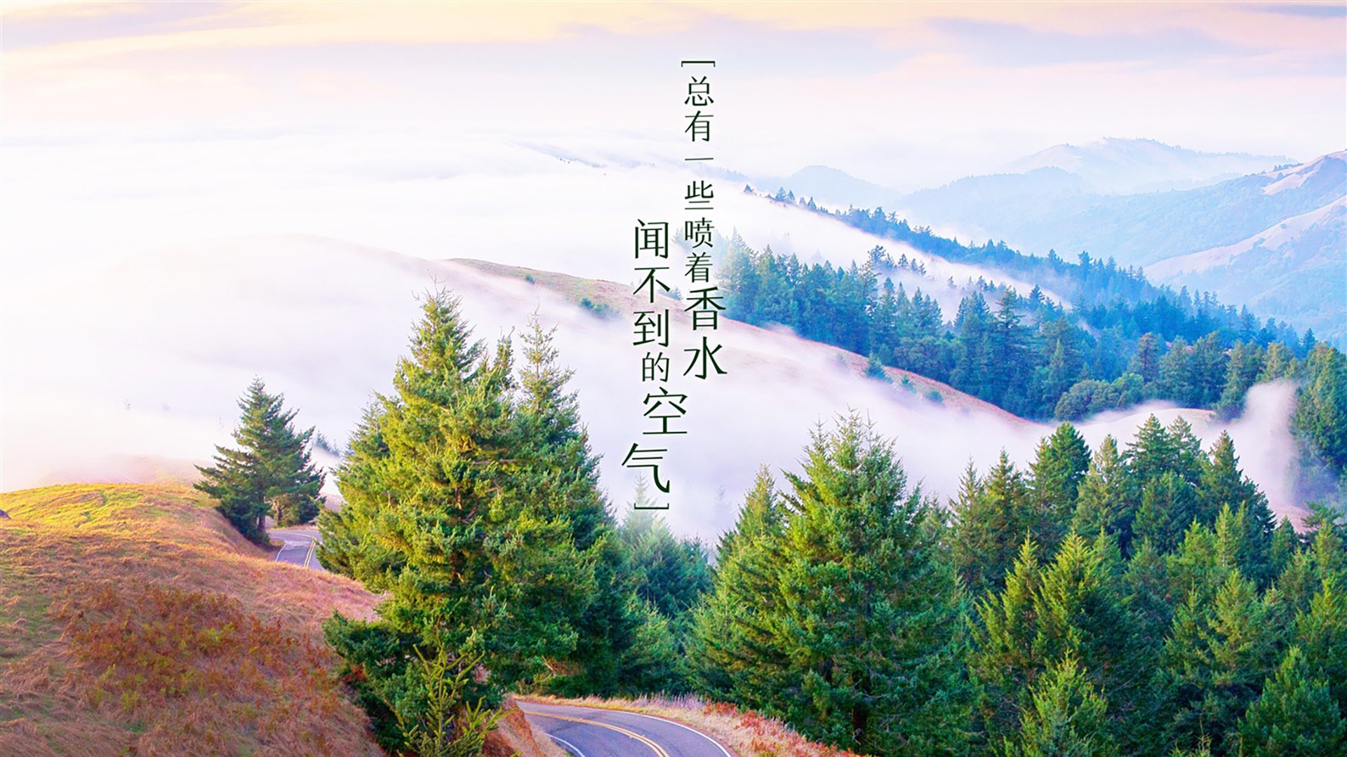 唯一的神迹,坎塞洛独舞之下,乌拉圭如何用一场碾压定义2026世界杯A组唯一性